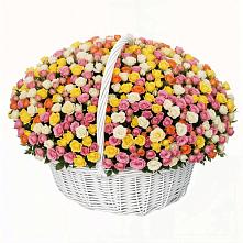 Премиум букет из: Розы в Поселок имени Степана Разина