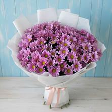Букет цветов из:  Хризантемы в Поселок имени Степана Разина