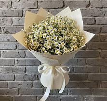 Букет цветов из:  Ромашки #REPLACE_PRED# Поселок имени Степана Разина