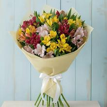Букет цветов из:  Альстромерии в Поселок имени Степана Разина