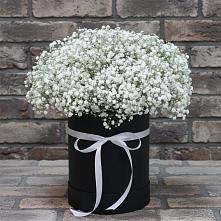 Цветочная композиция из Гипсофила в шляпной коробке в Поселок имени Степана Разина