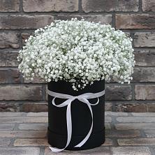 Цветочная композиция из Гипсофила в шляпной коробке в Поселок имени Степана Разина