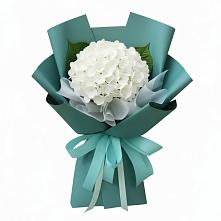 Букет цветов из:  Гортензия в Поселок имени Степана Разина